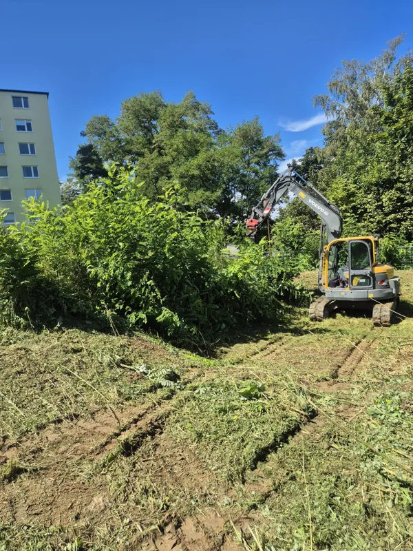 Vorher: Zugewachsenes Grundstück vor dem Aufräumen, der Bagger ist schon da