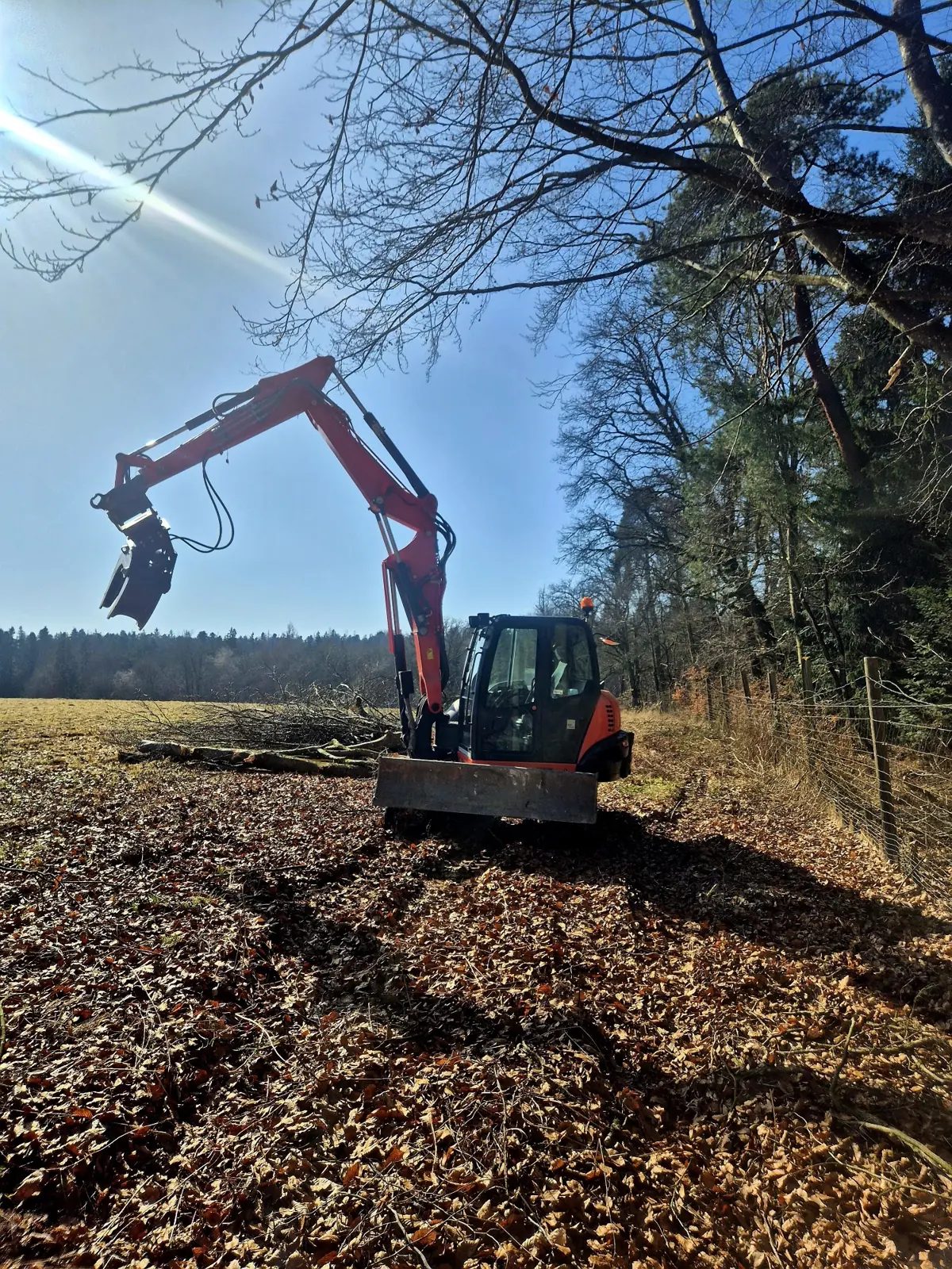 Bagger mit Anbaugerät am sonnigen Waldrand
