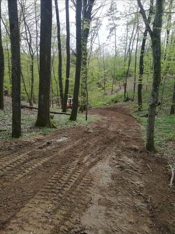 Nachher: Neu angelegter Waldweg zwischen Buchen